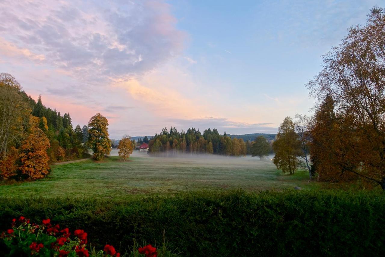 Hollhouse - Bed & Breakfast Hinterzarten Buitenkant foto
