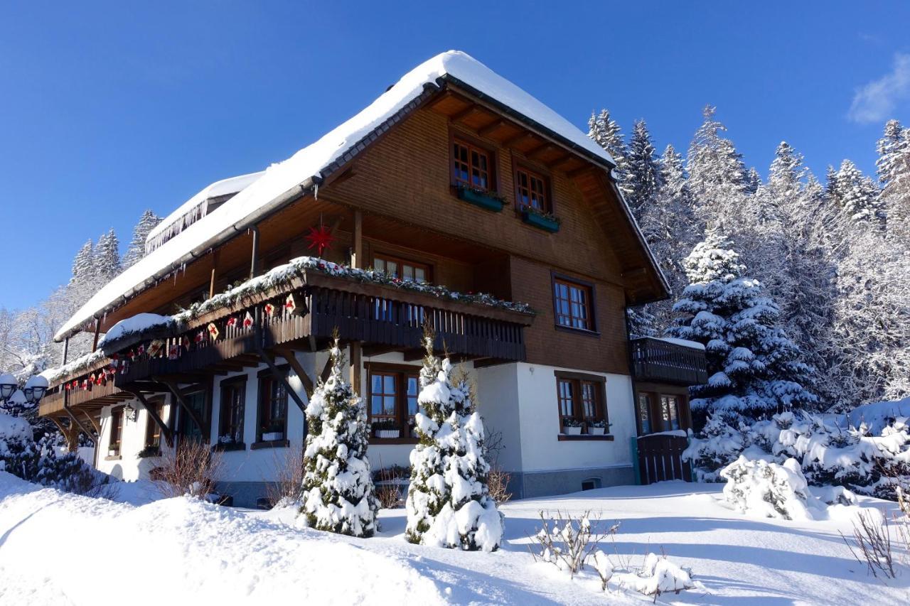 Hollhouse - Bed & Breakfast Hinterzarten Buitenkant foto