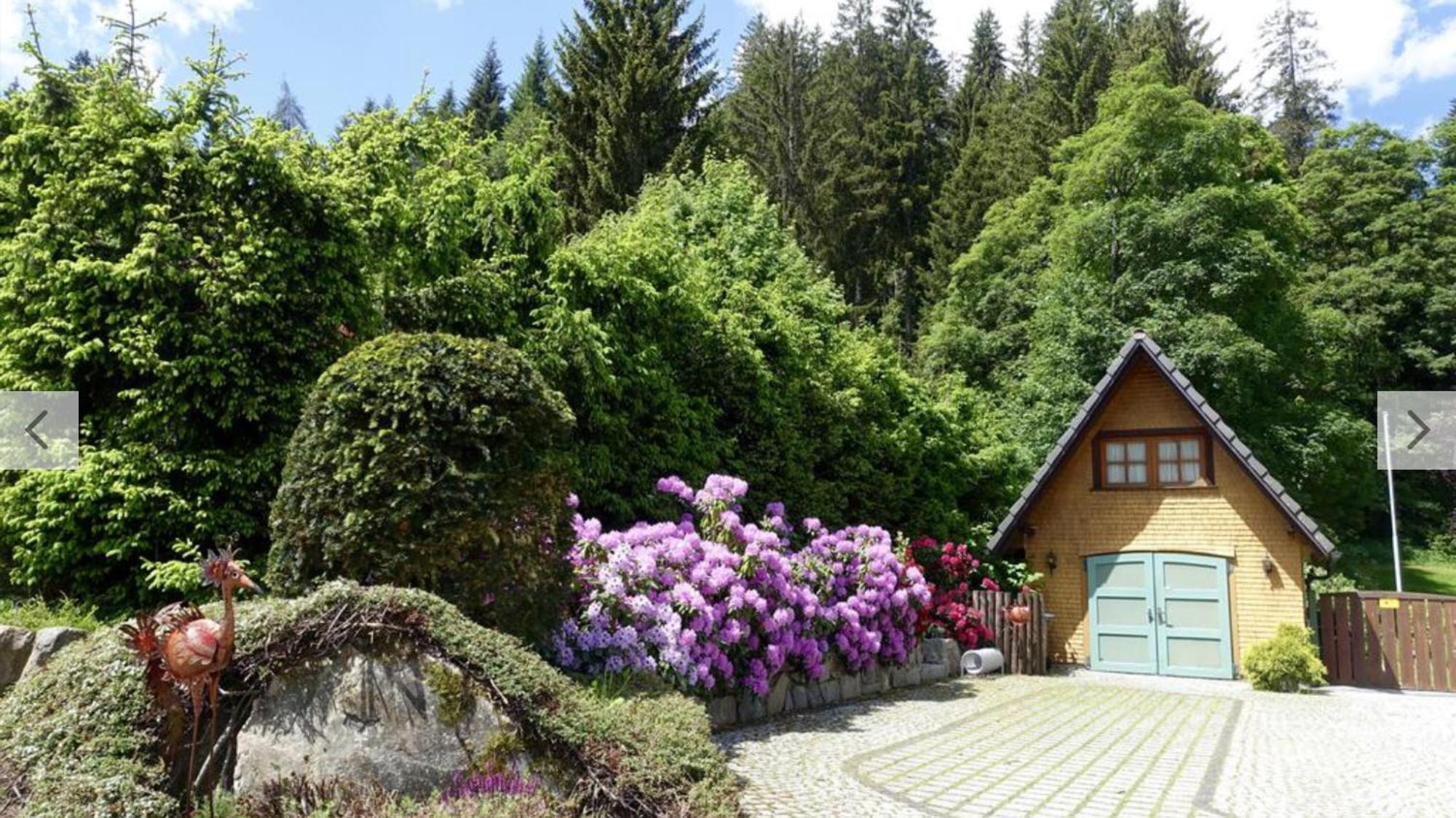 Hollhouse - Bed & Breakfast Hinterzarten Buitenkant foto