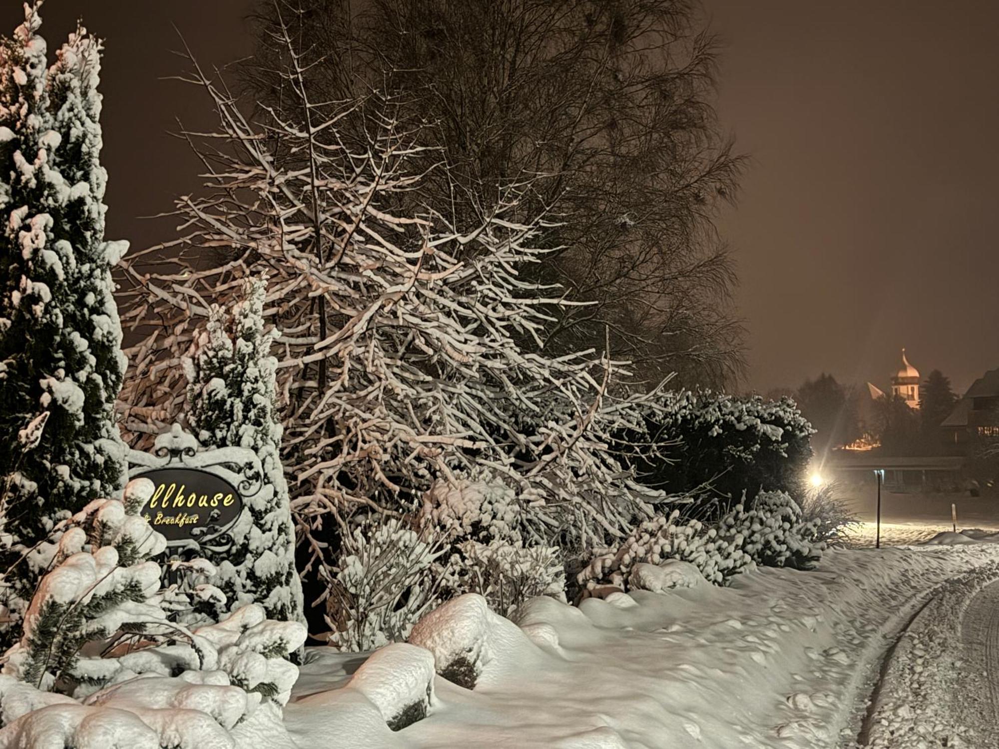 Hollhouse - Bed & Breakfast Hinterzarten Buitenkant foto